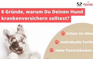 Gründe für krankenversicherung bei Hunde