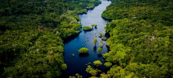 Tierversicherung x 8 million trees