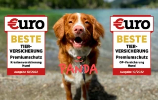 beste Hundeversicherung, beste Tierversicherung