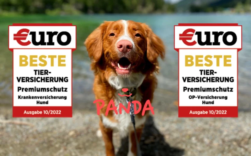 beste Hundeversicherung, beste Tierversicherung