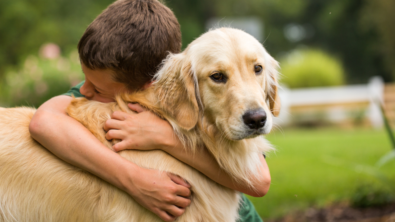 Ein Junge umarmt innig seinen Golden Retriever.