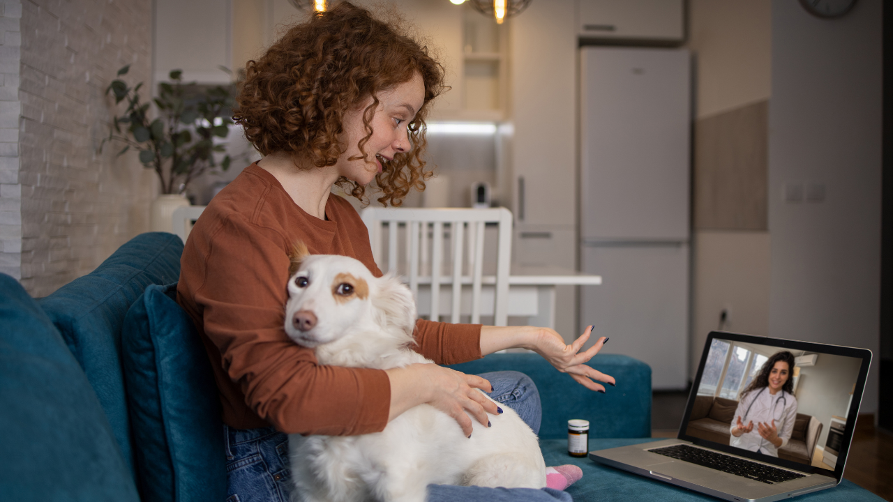 Eine Kundin lässt sich von ihrem Tierart per Videocall beraten.