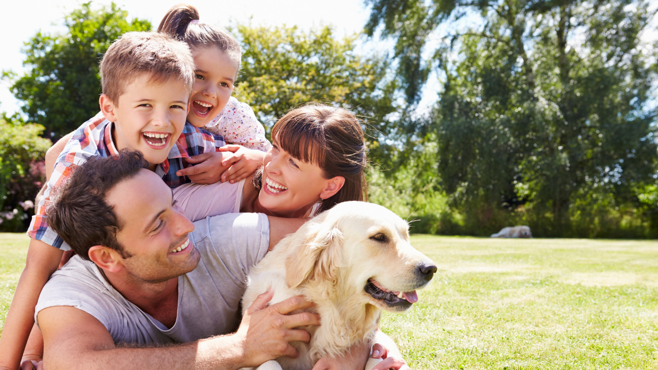 Eine Familie spielt glücklich mit ihrem Golden Retriever im Garten.