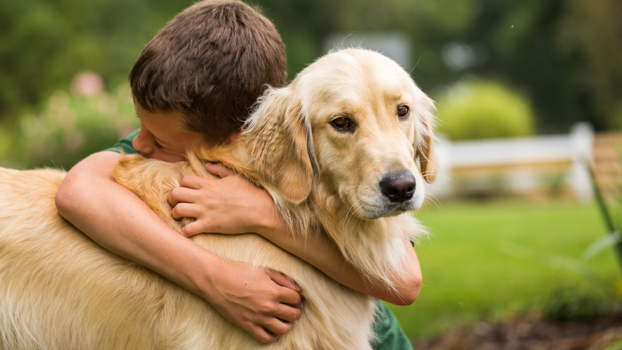 Ein Junge kuschelt mit seinem Golden Retriever.