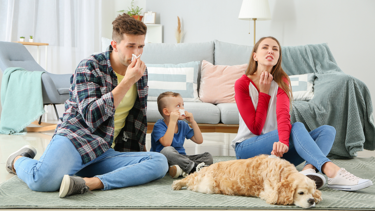 Ein Vater, eine Mutter und deren Sohn sind allergisch auf ihren Hund.