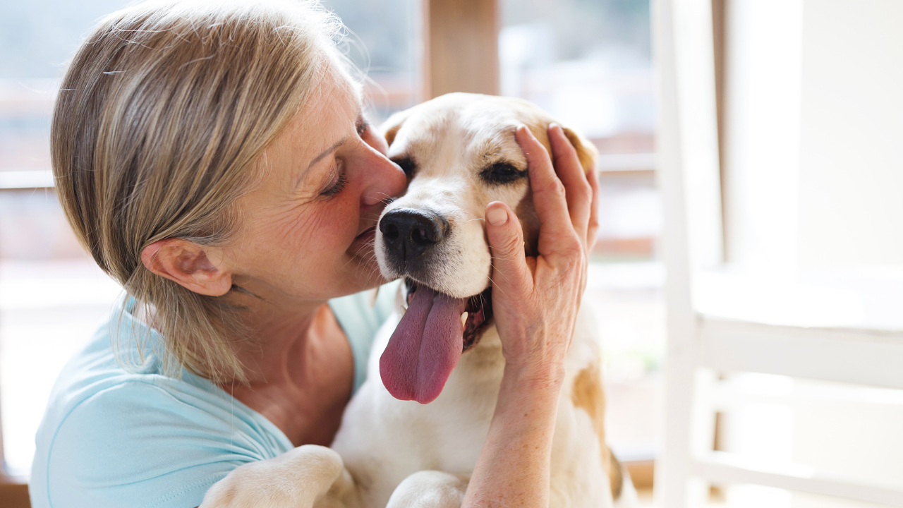 Eine Seniorin kuschelt mit ihrem süßen Hund.